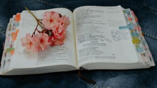勉強